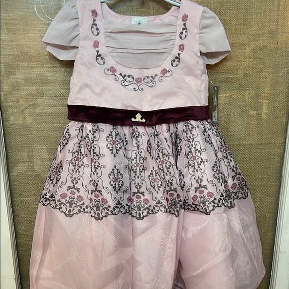 🎀Disney Princess Aurora/ Sleeping Beauty Pink Floral Embroidered Party Dress - Picture 2 of 10